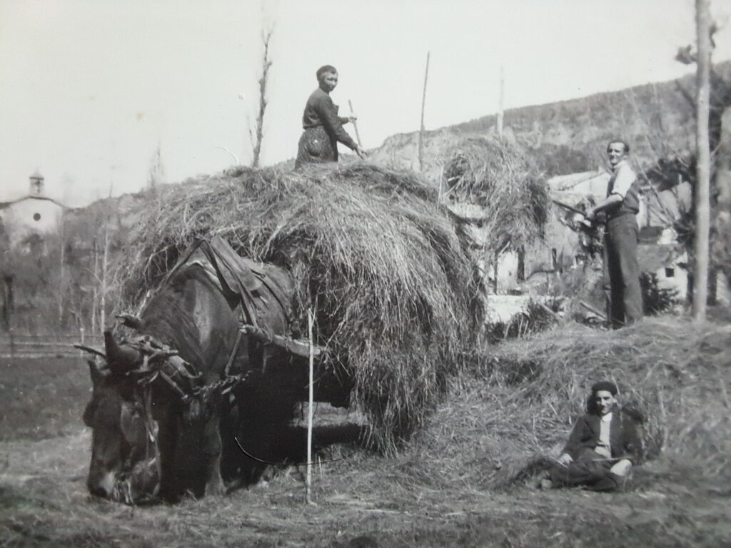 Mes romans du terroir historiques et polars noirs psychologiques mettent en avant ces hommes et ces femmes qui ont affronté la rudesse des lieux et de l'époque, et essayé de panser leurs blessures intimes.